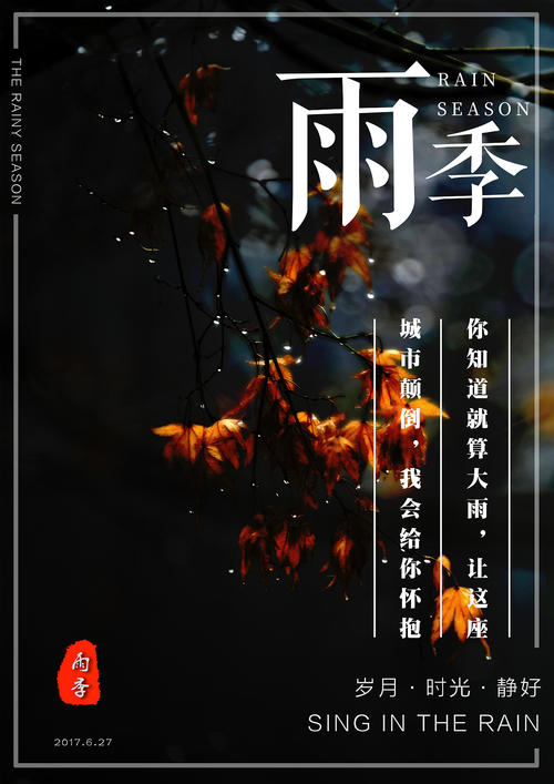 怎么办假马里兰州驾照